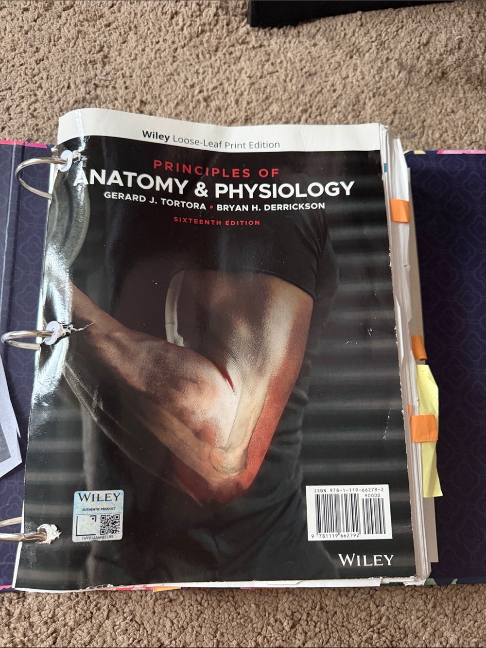Principles of Anatomy & Physiology 16th Edition – Tortora & Derrickson + Binder